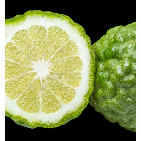 Peak- Topnoot – Bergamot