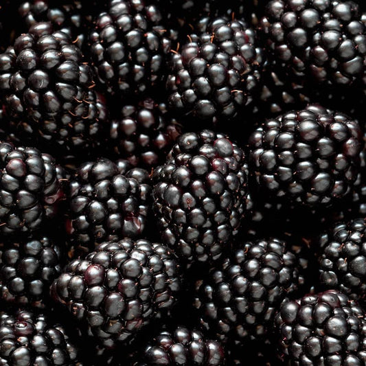 Mia - Yodeyma -dames parfum