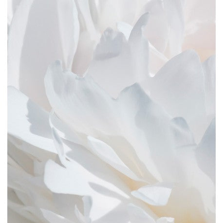 VÁLIA -dames parfum (Niche collection)
