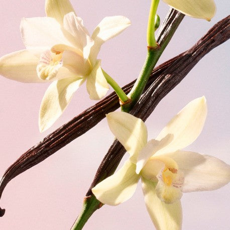 Dorian Yodeyma - herenparfum (Niche collection)